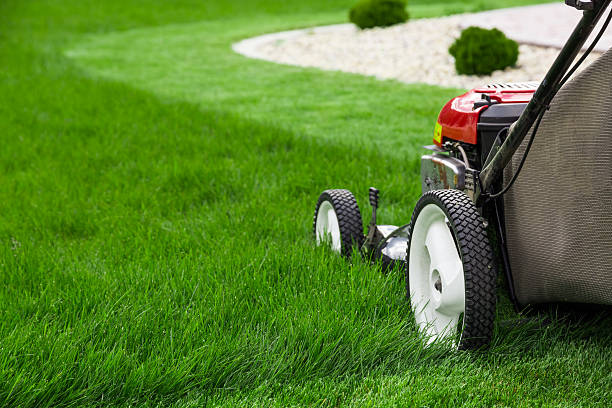 Lawn Mowing Support Image